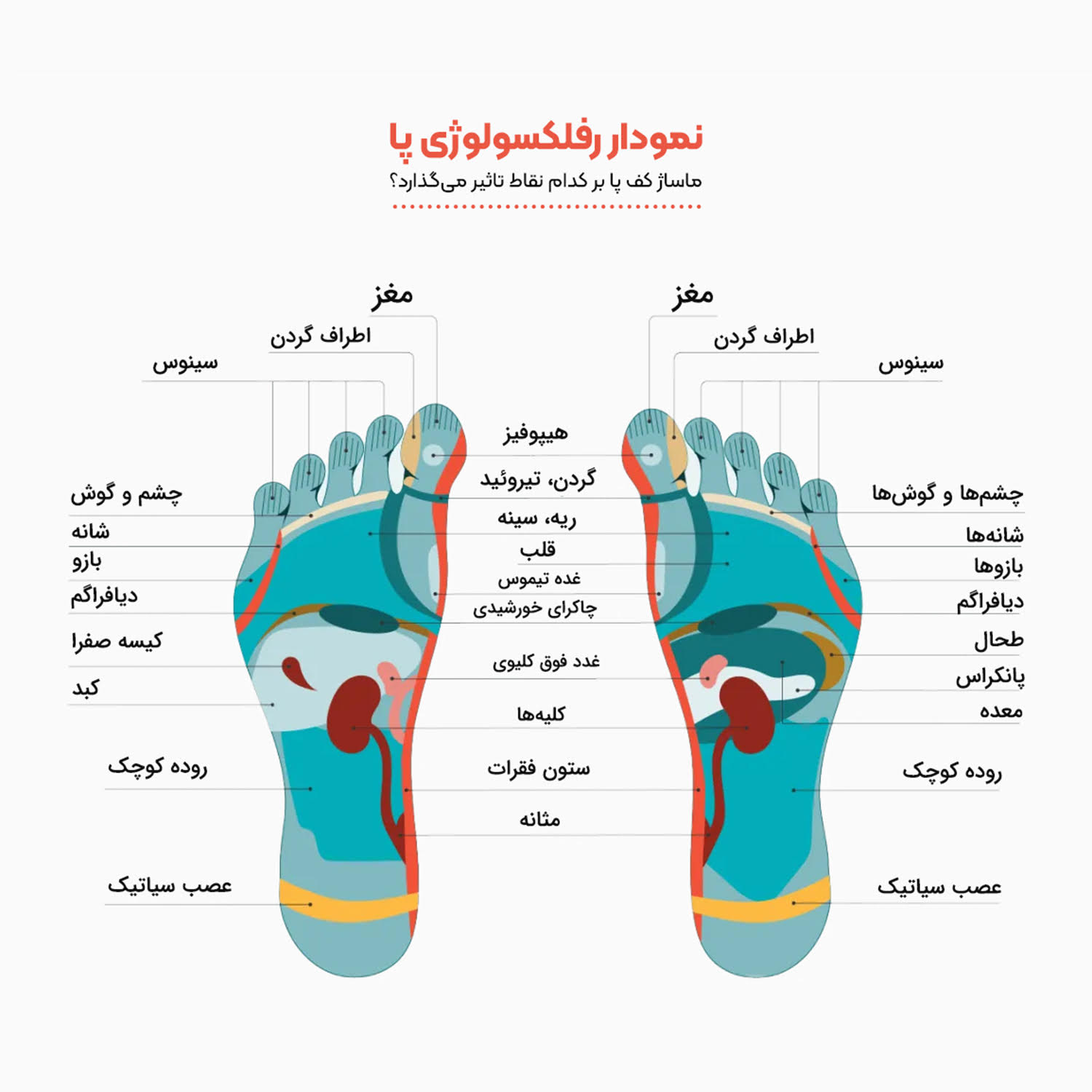 نمودار ماساژ کف پا