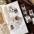 چسب واشی کلکسیون تمبرها