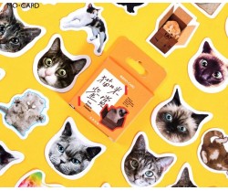 ست استیکر گربه بازیگوش