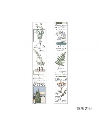 چسب واشی تزیینی