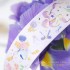 چسب واشی سرزمین رویای شیرین