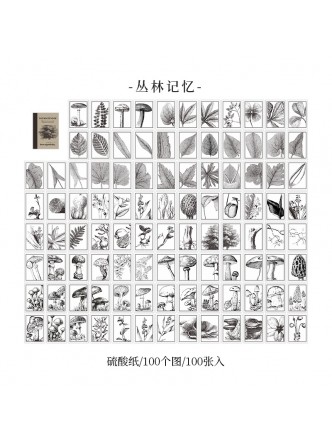 کتابچه سیاه و سفید برگه های تزیینی