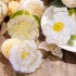 ست استیکر طرح گل طلاکوب