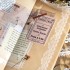 چسب واشی حاشیه روبان گیپور