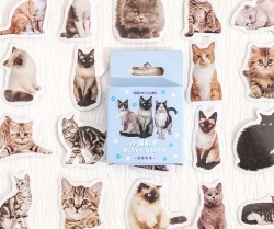 ست استیکر گربه های کیوت