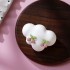 ست گوشواره گیلاس و کاکتوس