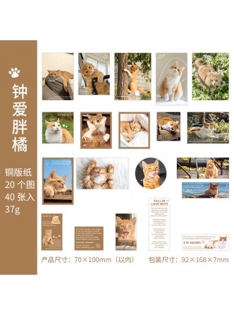 ست استیکر گربه و سگ کیوت