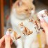 چسب واشی ماجراهای گربه سیاه کوچولو