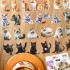 چسب واشی ماجراهای گربه سیاه کوچولو