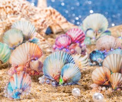 ست استیکر شفاف طرح صدف