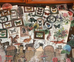 ست استیکر شفاف ماجراجویی در جنگل