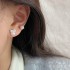 ست گوشوارهای رنگ نقره ای کریستالی