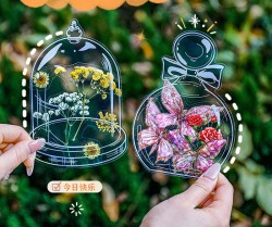 ست استیکر شفاف طرح بطری