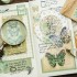 چسب واشی تمبر پروانه طلاکوب