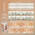 ست چسب واشی سفر به طبیعت