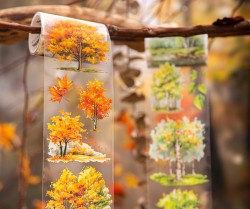 چسب واشی زیبایی جنگل