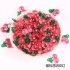 مینی میوه های تزیینی
