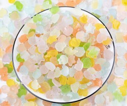 حیوانات ژله ای تزیینی شب تاب