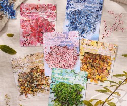 ست استیکر برگ و شکوفه