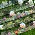 چسب واشی حاشیه طرح گل و گیاه