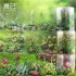 چسب واشی حاشیه طرح گل و گیاه