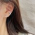 گوشواره های طرح نان فانتزی