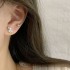 ست گوشواره های فانتزی رنگ نقره ای