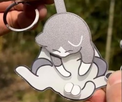 جاکلیدی اسپینری گربه بازیگوش