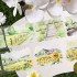 ست چسب واشی نقاشی منظره طبیعت