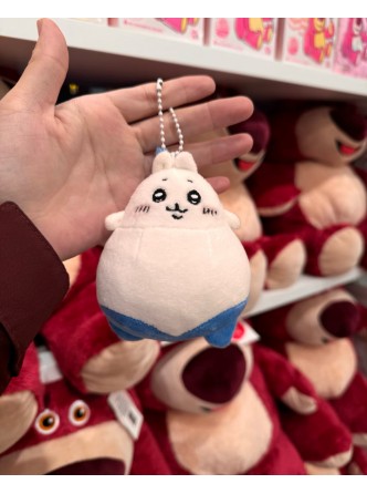 آویز گربه اشتباهی !