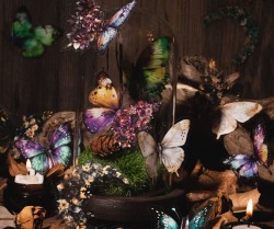 ست استیکر شفاف گل، پروانه و ماه