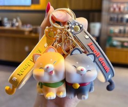 ست جاکلیدی کاپلی