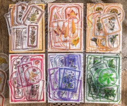 ست استیکرهای شفاف تمبر گل