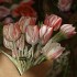 مقواهای طلاکوب طرح دسته ی گل