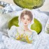 دفترچه استیکر و کاغذ دیواهای دوران ریجنسی