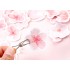 استیکرهای شکوفه گیلاس