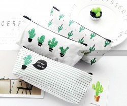 جامدادی کاکتوس